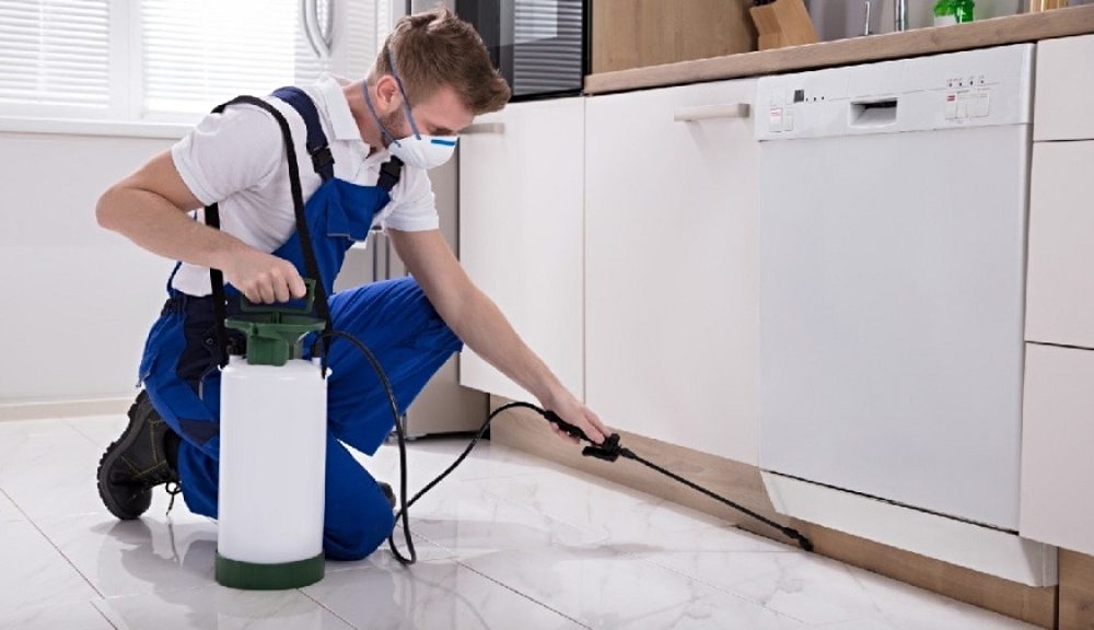 cockroach pest control