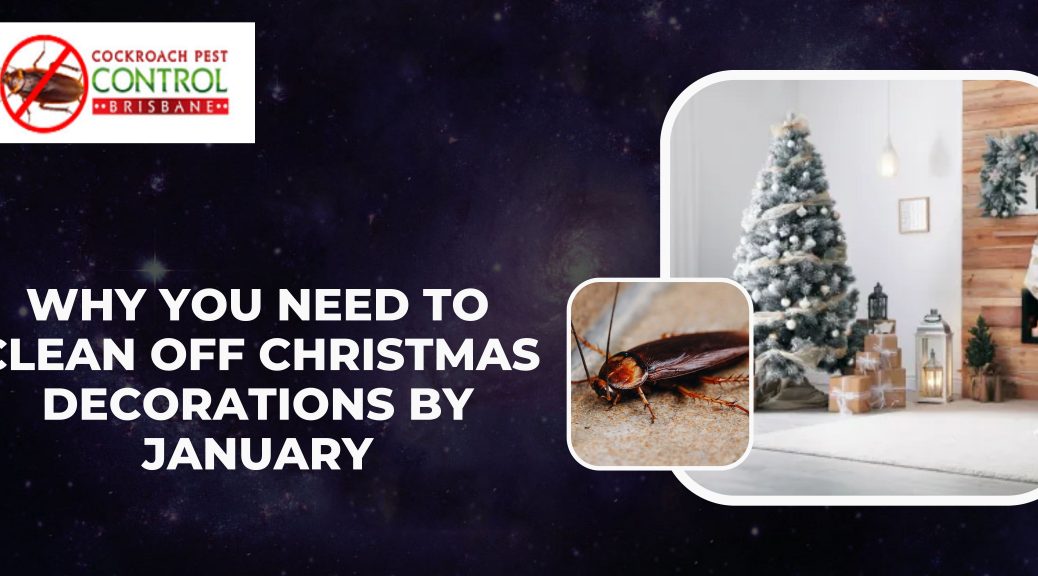 cockroaches control service in Brisbane