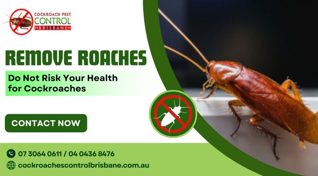 cockroaches control service in Brisbane