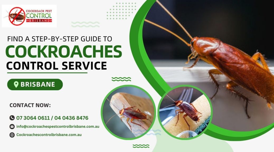 cockroach control service Brisbane