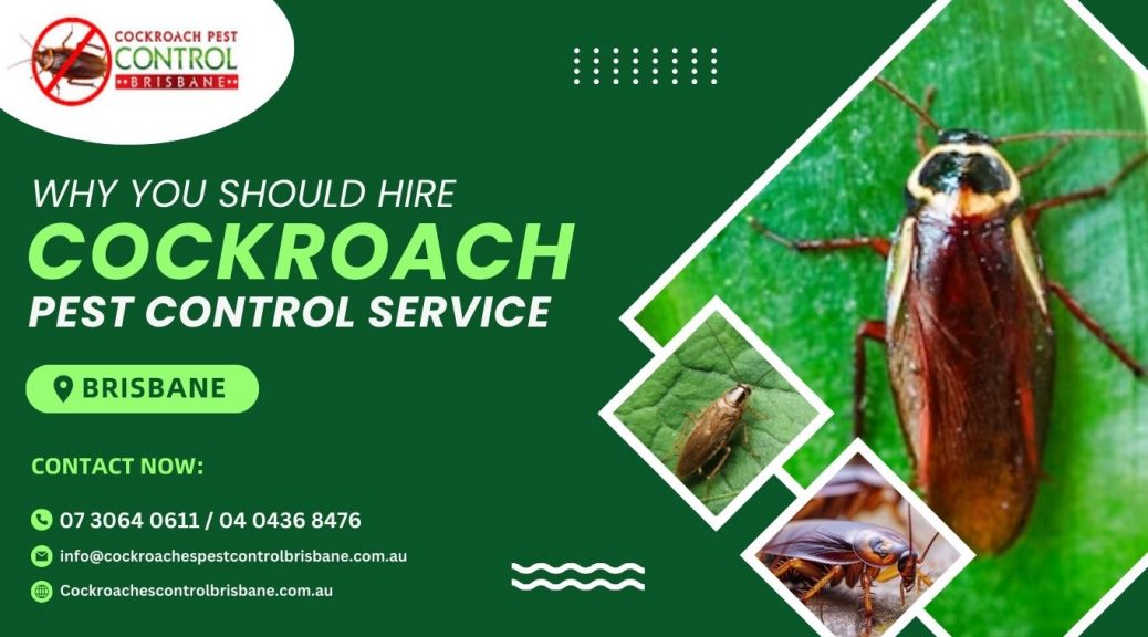 cockroach inspectors Brisbane