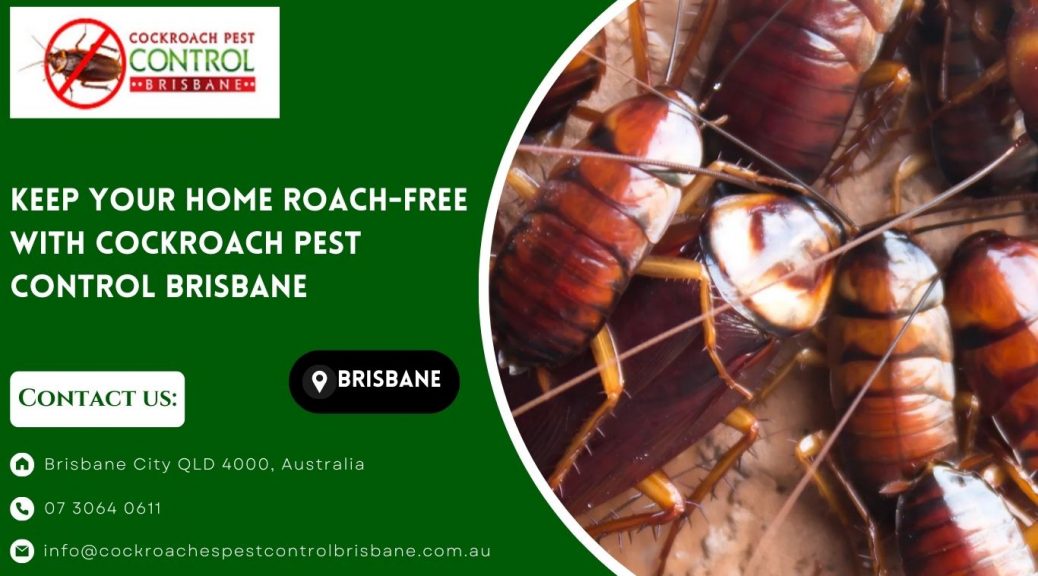 affordable cockroach treatment services near me