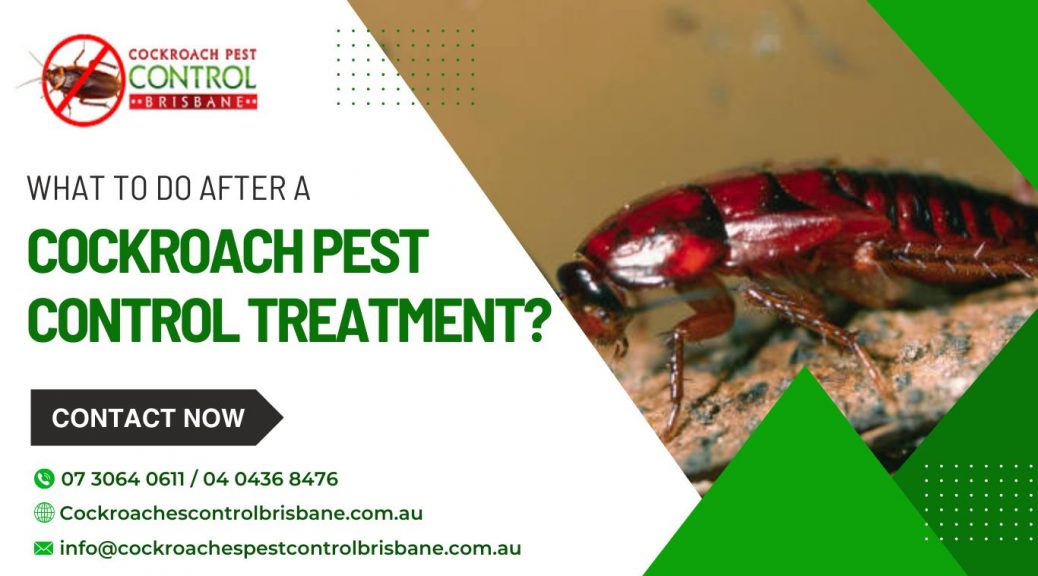 cockroach control in Brisbane