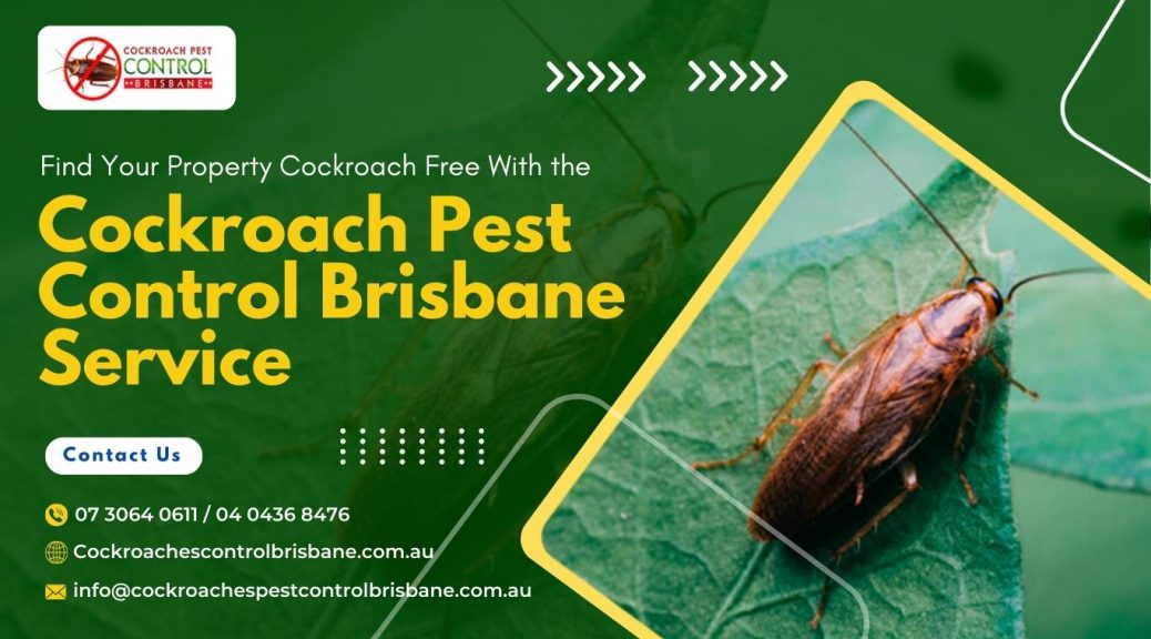 cockroaches control service Brisbane