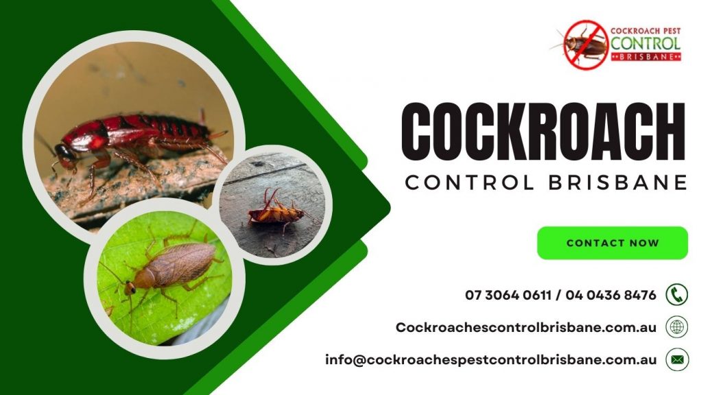cockroach inspector near me
