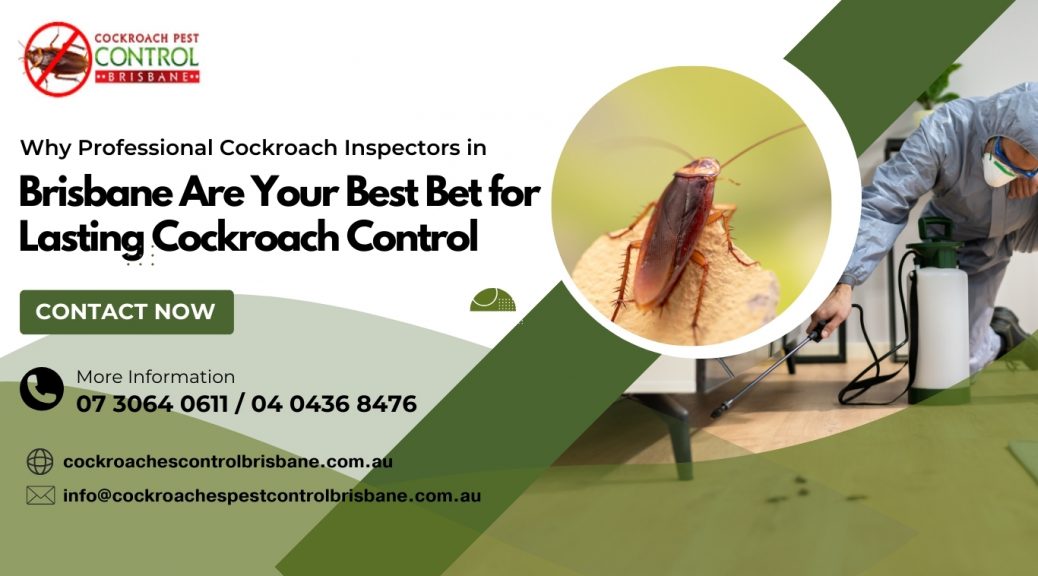 Why Professional Cockroach Inspectors in Brisbane Are Your Best Bet for Lasting Cockroach Control