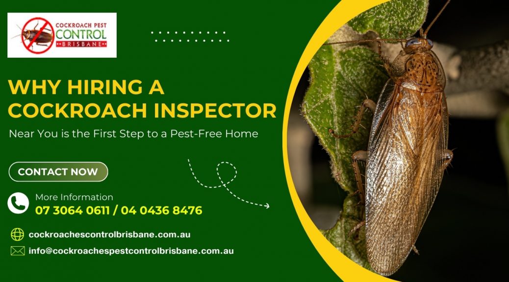 Why Hiring a Cockroach Inspector Near You is the First Step to a Pest-Free Home