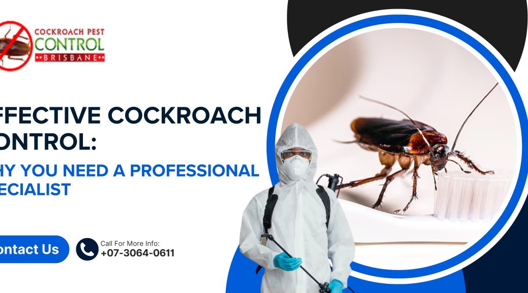 Effective Cockroach Control: Why You Need a Professional Specialist