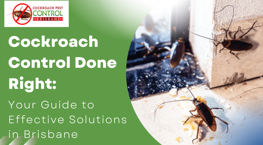 Cockroach Control Done Right: Your Guide to Effective Solutions in Brisbane