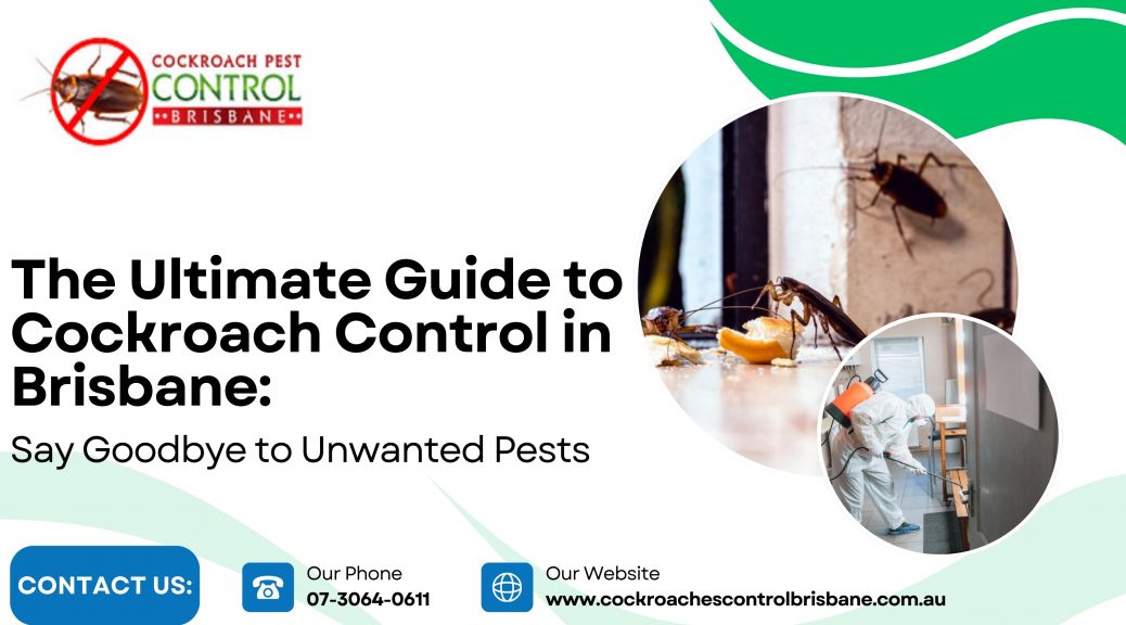 The Ultimate Guide to Cockroach Control in Brisbane: Say Goodbye to Unwanted Pests